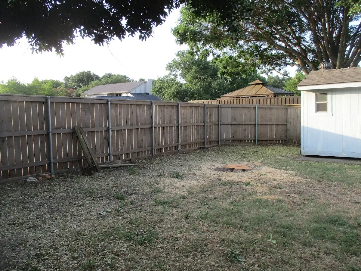 Cleared yard after professional tree removal in Brooklet